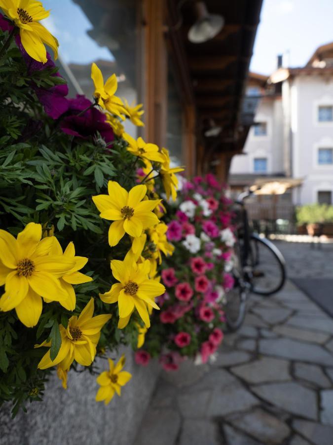 Albergo Alpenrose Ливиньо Экстерьер фото